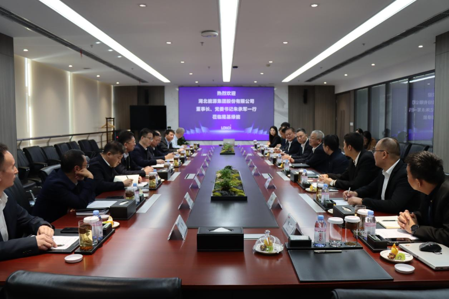 會議現場(西北新能源公司供稿) 會議現場(西北新能源公司供稿)